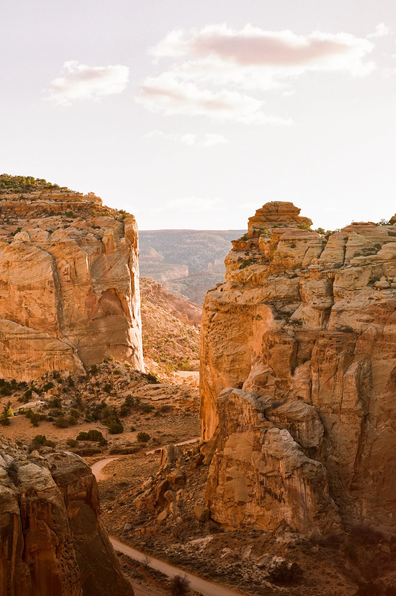 Sunlit sandstone cliffs above a winding dirt road in a desert canyon