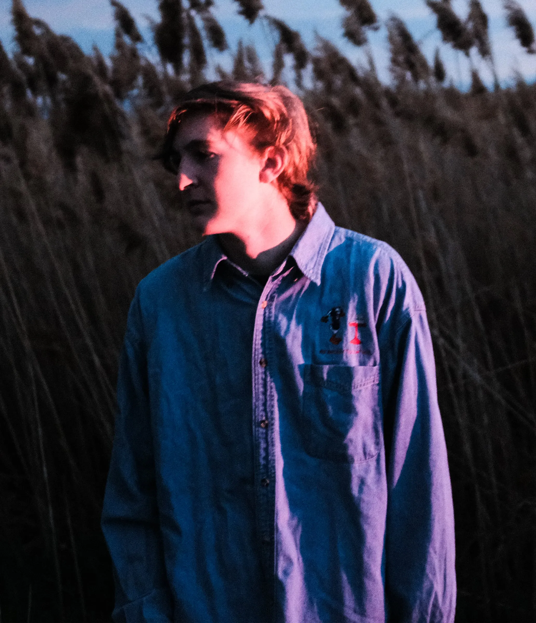Man in a denim shirt among tall reeds at dusk, lit by a red glow