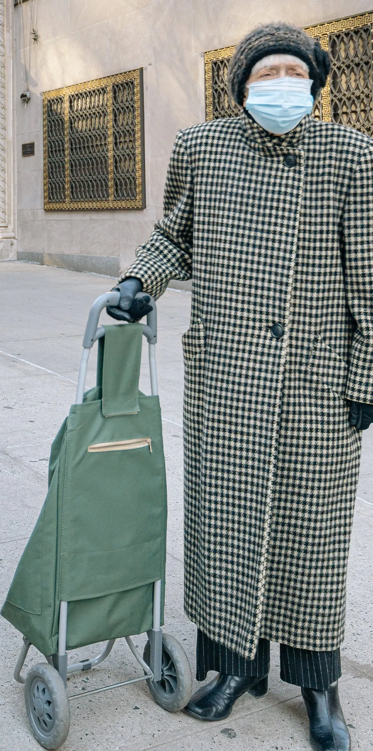 Elegant woman in a houndstooth coat with a shopping cart