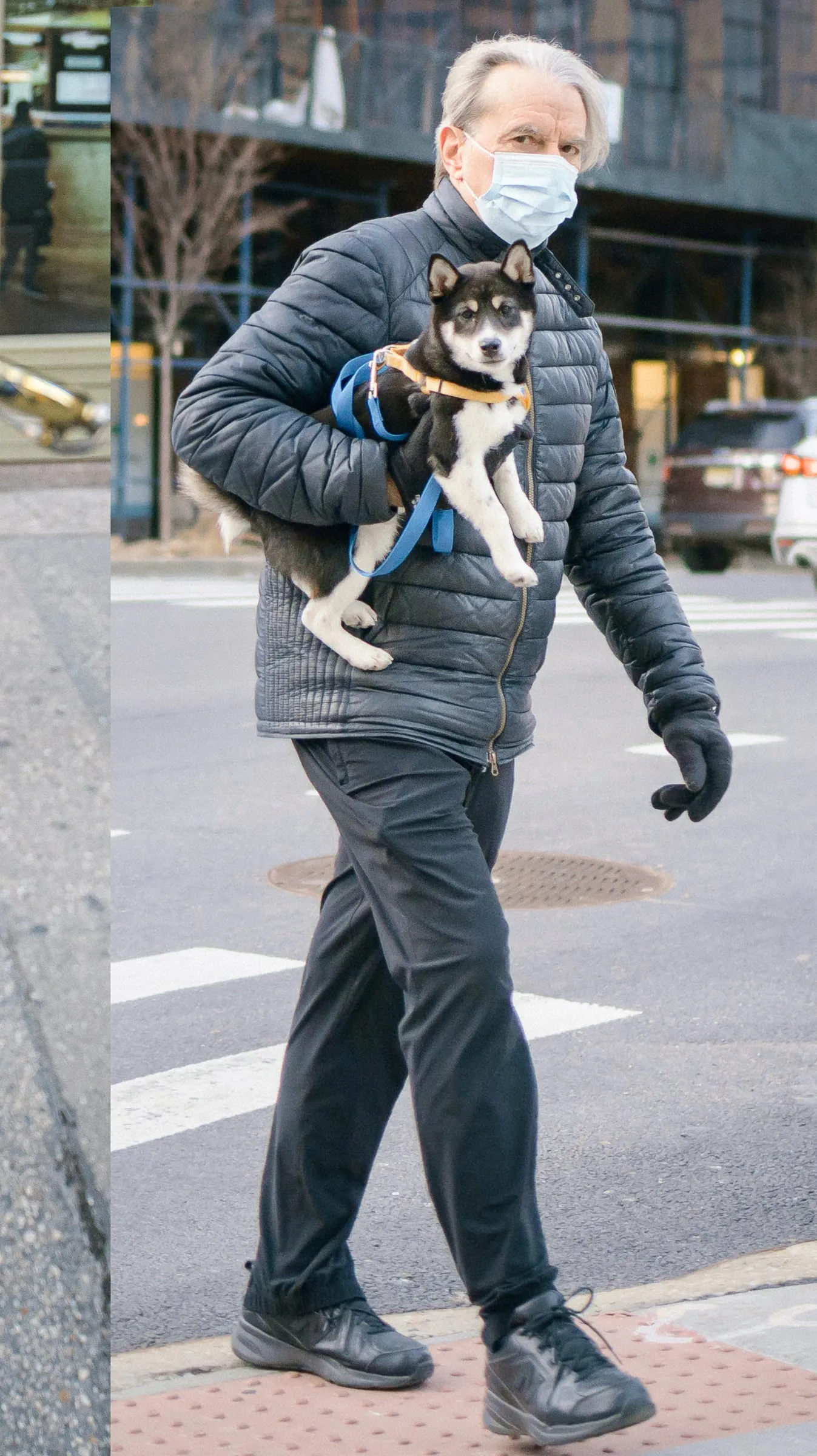 Man crossing the street carrying a husky puppy under one arm